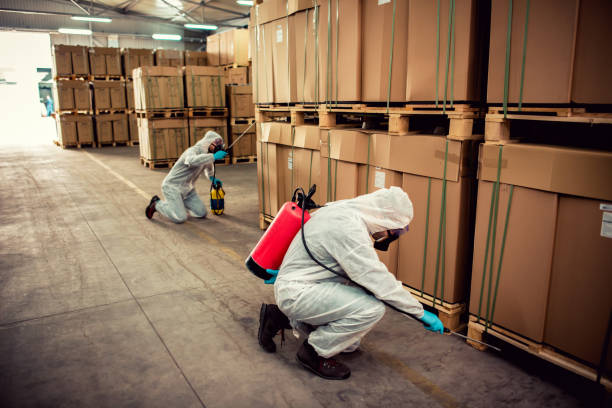 Best Mosquito Control Services  in Park Ridge, IL