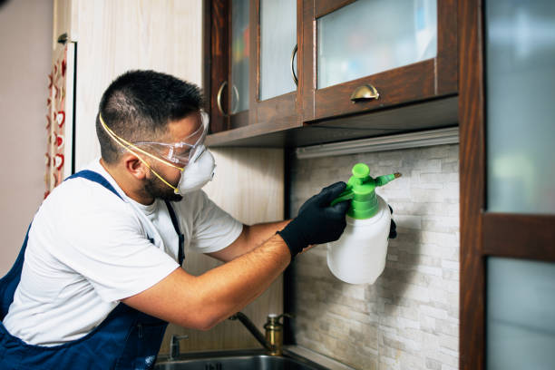 Best Affordable Pest Control Services  in Park Ridge, IL