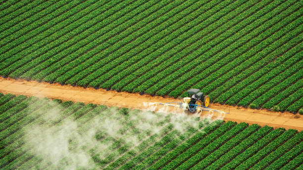 Best Mosquito Control Services  in Park Ridge, IL