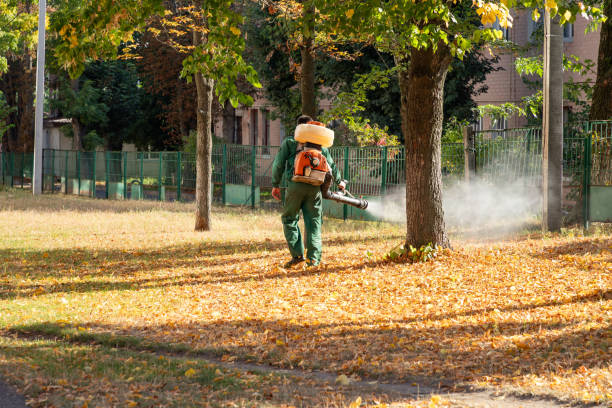 Best Affordable Pest Control Services  in Park Ridge, IL