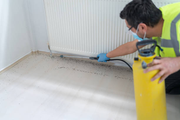 Best Exterminator Services  in Park Ridge, IL